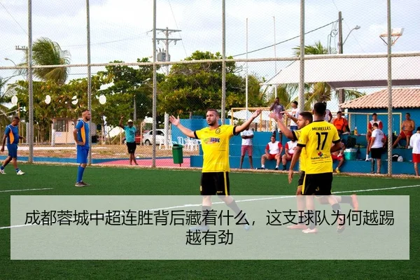 成都蓉城中超连胜背后藏着什么，这支球队为何越踢越有劲
